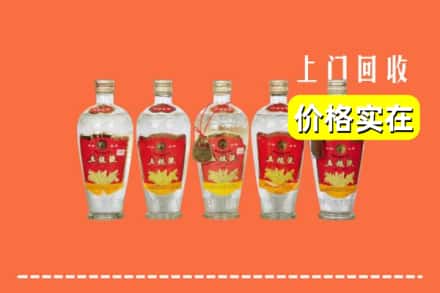 南平市武夷山回收老五粮液